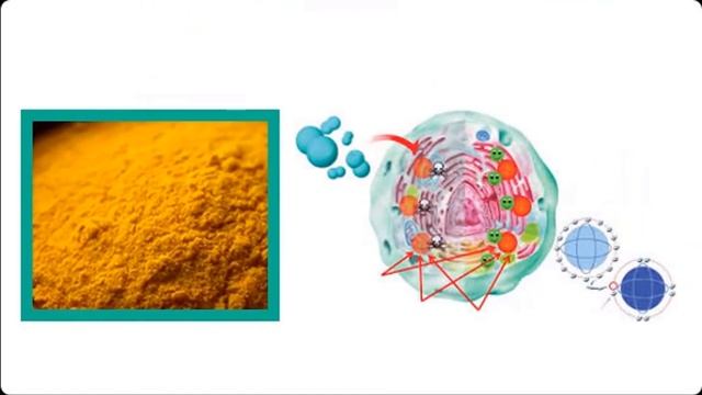 turmeric may be the most effective nutritional supplement in existence смотреть онлайн