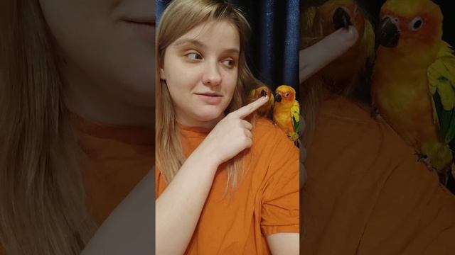 Что это за попугаи? смотреть онлайн