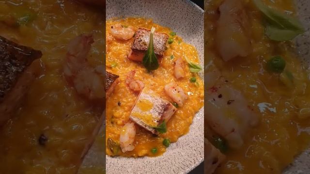 ! salmon ! saffron risotto! shrimp ! orange reduction смотреть онлайн