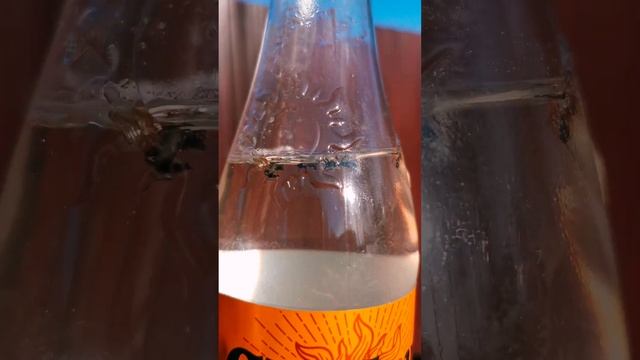 Берёзовый сок смотреть онлайн