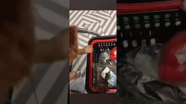 За продуктами😊 смотреть онлайн