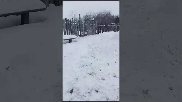 Уборка снега большой площади мотоблоком с гусеницами Крутец и отвалом #гусеницыкрутец #гусеницы смотреть онлайн