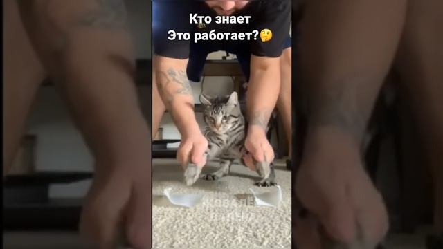 И это работает? 🙀🤪🤣 #shorts #funny #валера смотреть онлайн