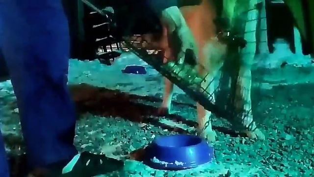 шашлык готов смотреть онлайн