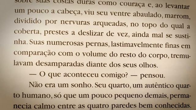 Caldo Literário #008 - A Metamorfose (Franz Kafka) смотреть онлайн