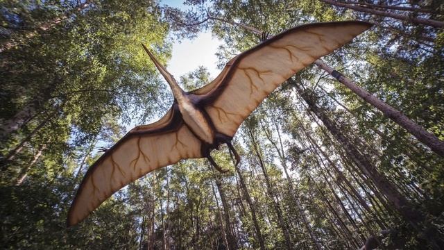 pterodactyl mating call sound effect / song (to attract pterodactyls) смотреть онлайн