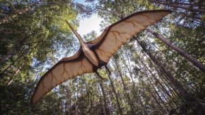 pterodactyl mating call sound effect / song (to attract pterodactyls)