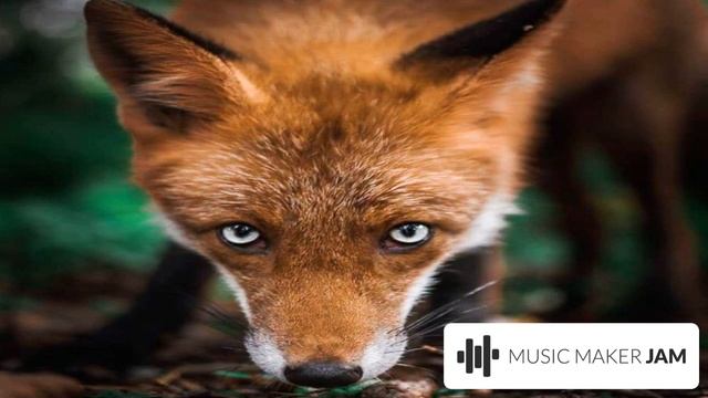 super track yo смотреть онлайн