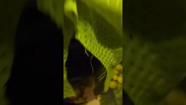 Домашний кисель смотреть онлайн