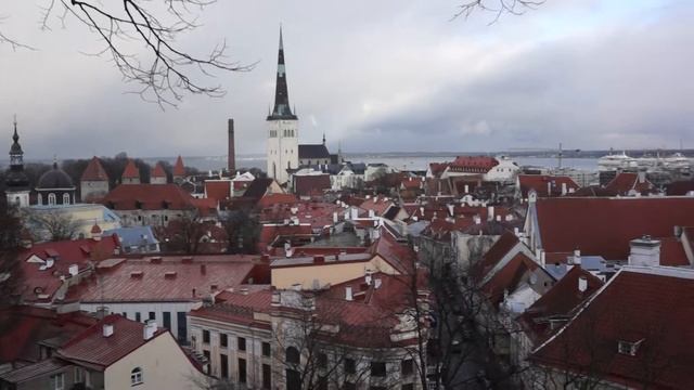 The view from the Piiskopi viewing platform, Tallinn, Estonia смотреть онлайн