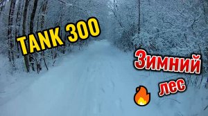 Зимний лес TANK 300