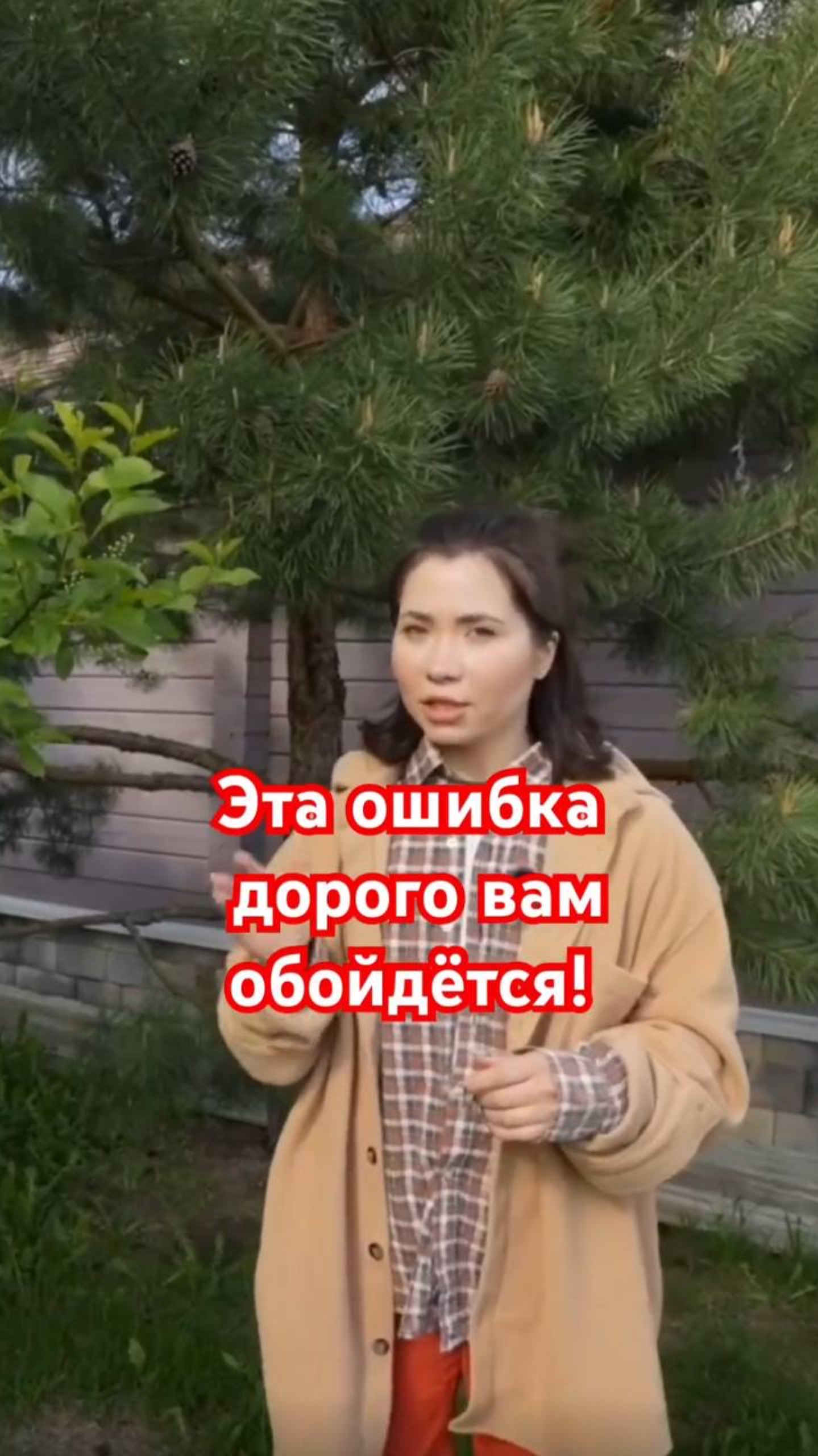 Как помочь хвойным пережить зимнее солнце смотреть онлайн