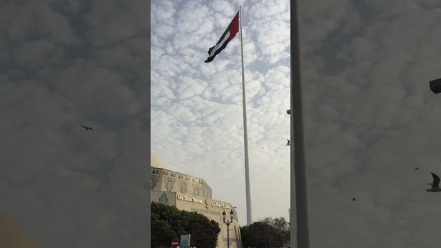 #SHORT l UAE FLAG l YEAR OF THE FIFTIETH ABU DHABI l #UAE50 l #SHORTVIDEOS l AHSOON VLOGS смотреть онлайн