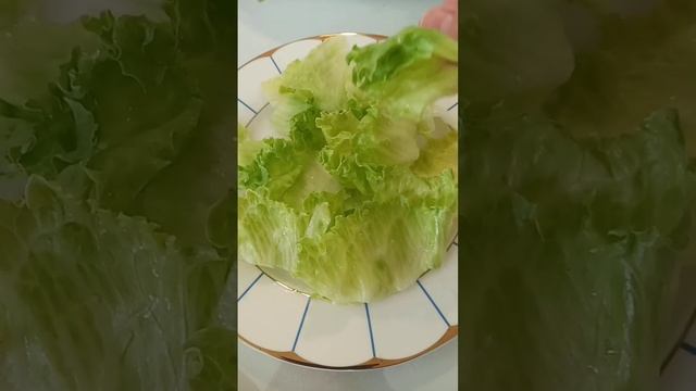 #fresh #vegetable #Lettuce #leaves #YouTube #shorts. смотреть онлайн