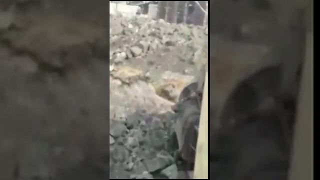 5555_2 смотреть онлайн