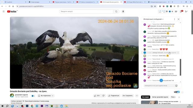 Классная функция ютуба, о которой мало кто знает. смотреть онлайн