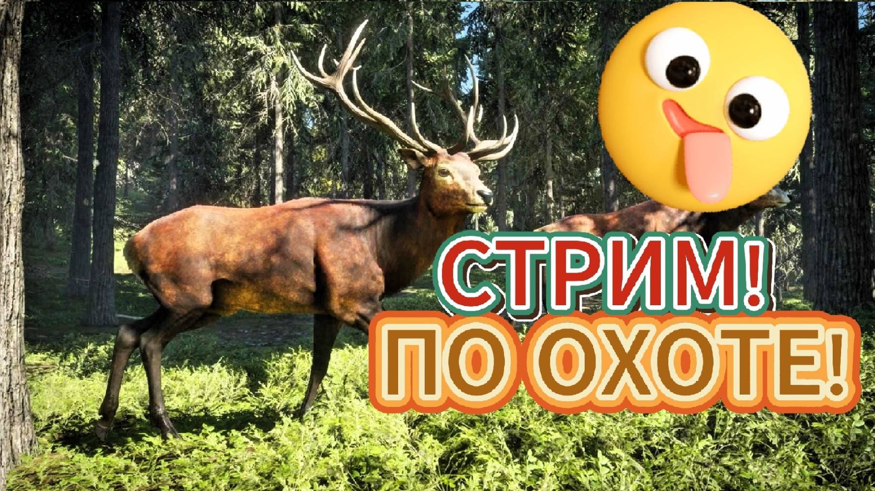 TheHunter ОХОТИМСЯ В ЛЕСУ!