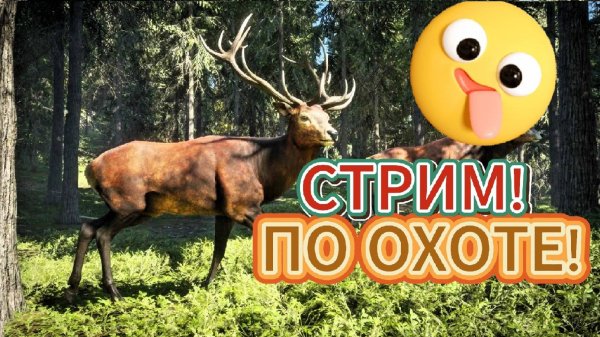 theHunter ОХОТИМСЯ В ЛЕСУ!