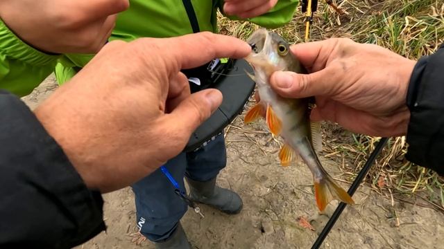 ВОБЛЕР ПРОТИВ ДЖИГА смотреть онлайн