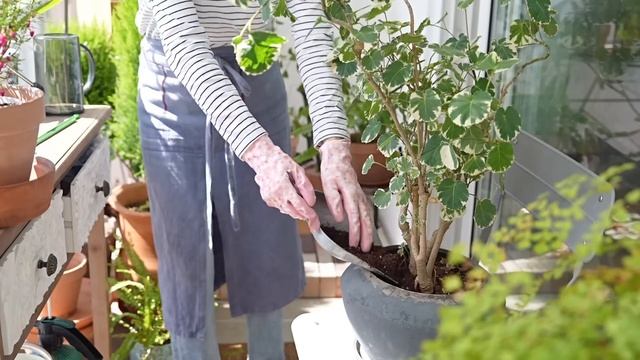 이제는 즐거운 홈 메이크업 타임! /나를 닮은 집 꾸미기/ft. 지아띠 원목 식탁/베란다 정원 가드닝 смотреть онлайн