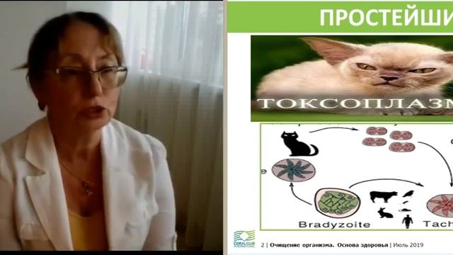 антипаразитарные программы Каташова Елена Борисовна смотреть онлайн