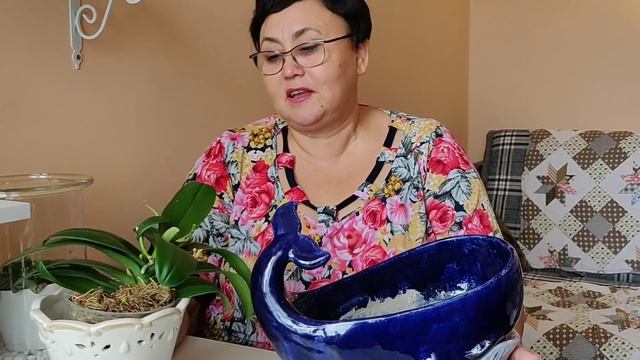 Любовь Киев села на диету смотреть онлайн