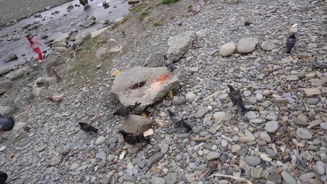 VLOG: Мамайка какая она есть. Сочи 2024.