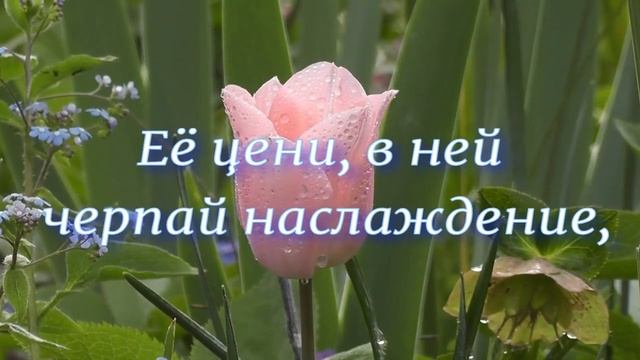 Мысли вслух смотреть онлайн