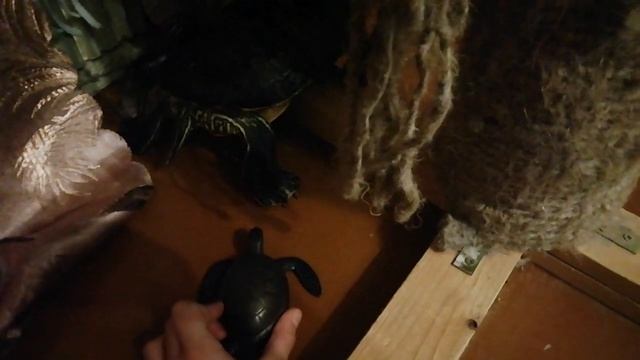 тётя мотя катает своего малыша🥰🥺🐢❤️ смотреть онлайн