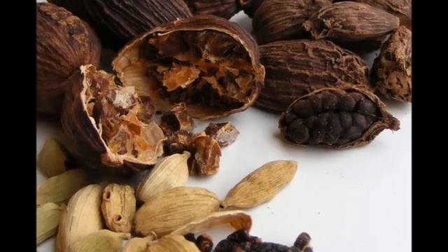 Elettaria Cardamomum смотреть онлайн