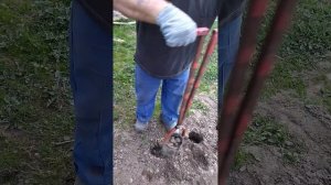 простое приспособление, для лунок под рассаду!