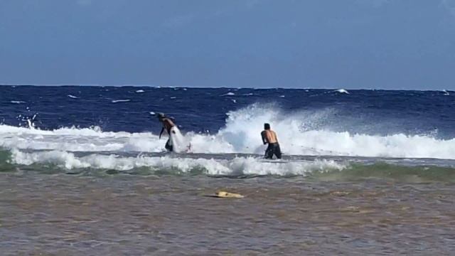 Pancho & Leo capturing parrot fish at Ahe Cocoperle смотреть онлайн