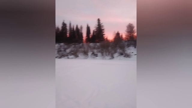 14.декабря 2024г