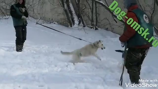 На прогулках смотреть онлайн