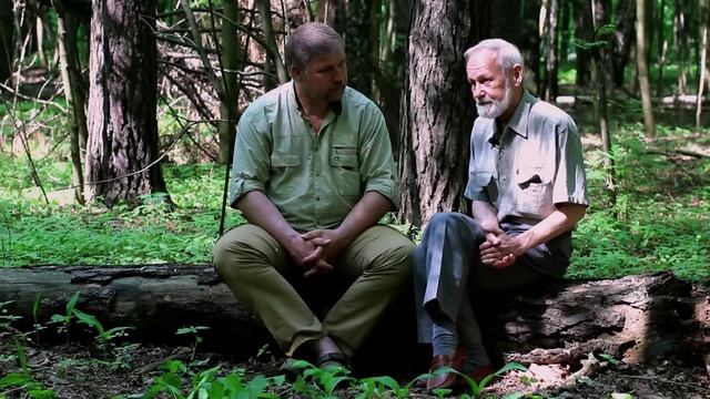 Охота на тетерева весной