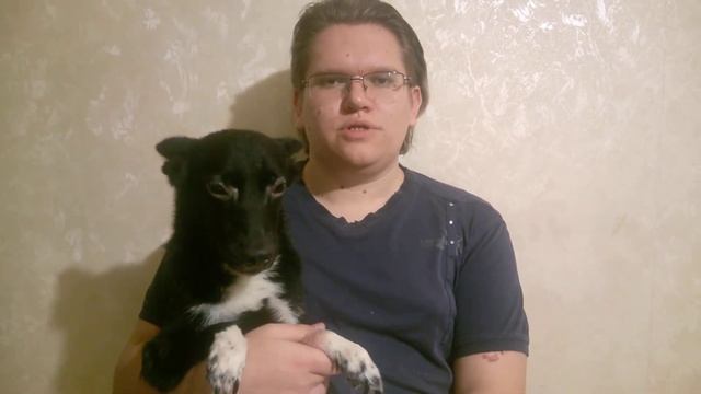 Чак приветствует всех смотреть онлайн