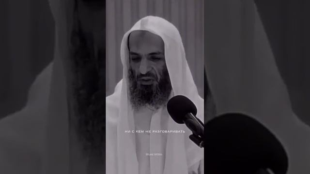 Мирская жизнь проклята #напоминание (360p) смотреть онлайн