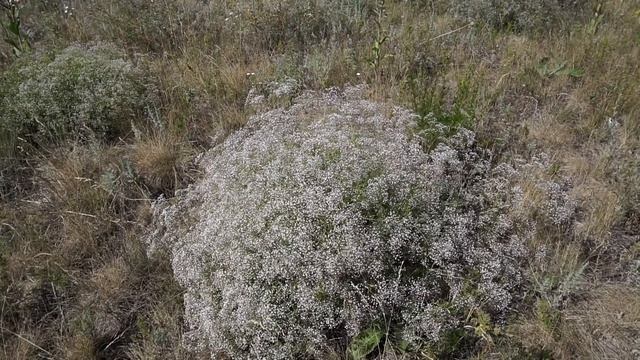 Любовь Земная смотреть онлайн