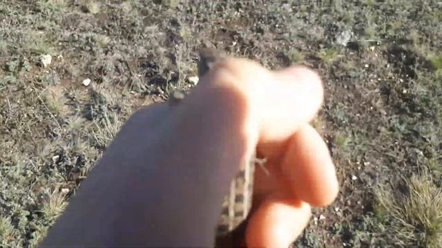 Открыли сезон поймали 2 ящерицы!!!!!! смотреть онлайн