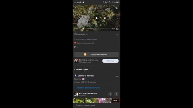 Рассада перцев, огород, жара , закат, пение птиц смотреть онлайн