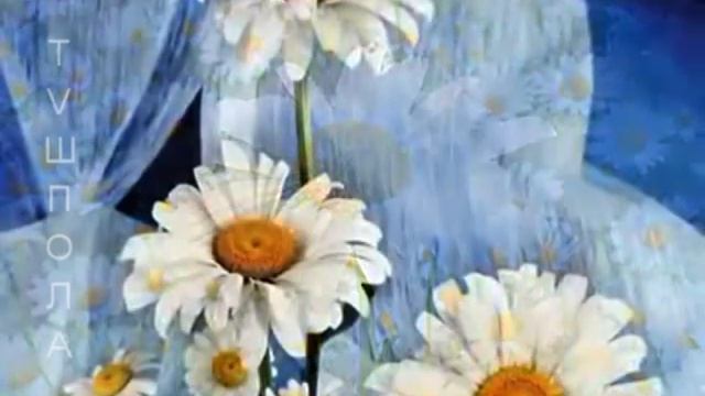 Вітання З Днем Народження П.Фартушній смотреть онлайн