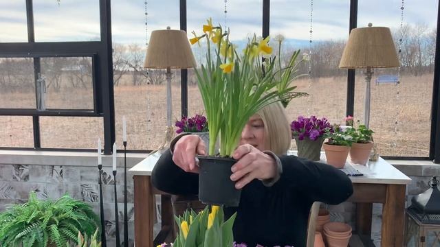 Projects in the Greenhouse - Planting Bare Root Perennials & Potting Up Spring! смотреть онлайн