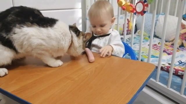 БЭБИ БОСС И КОТ И ПЁС . 🍼 Ликвидация каши смотреть онлайн