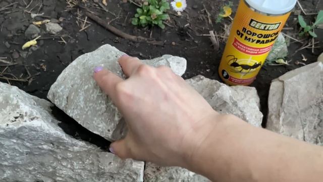 ЛУЧШEE СРЕДСТВО от муравьев, плодожорки и слизней! смотреть онлайн