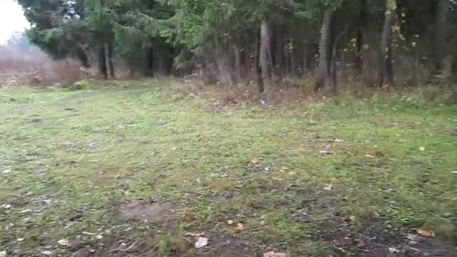 Поход на одни сутки.Первый снег в октябре,в лесу.3 смотреть онлайн