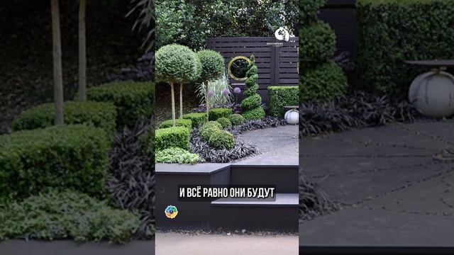 Тренды в ландшафтном дизайне #сад смотреть онлайн