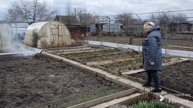 214. Клещ в почках смородины. Чесночная плантация. смотреть онлайн