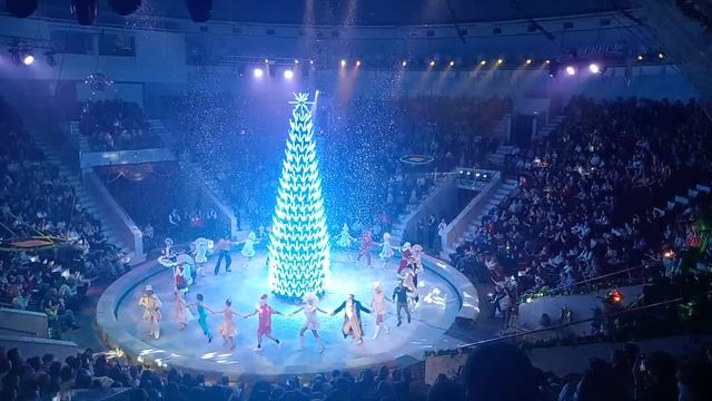 Тульский цирк - тропик шоу 2025