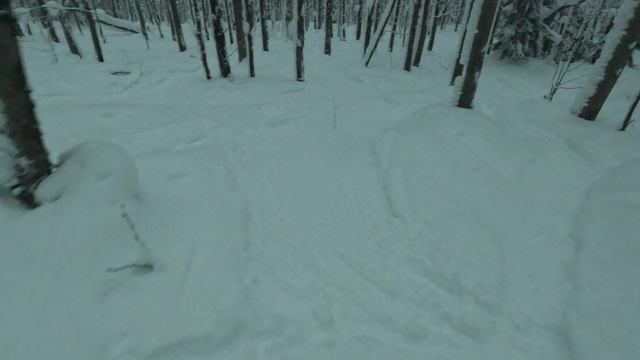 262 смотреть онлайн
