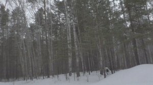 На что способен Субару Аутбек Бездорожье и Снег! Гребет как надо)